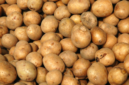 Kartoffellager- und Handelsgenossenschaft Großwaltersdorf – Kartoffelrezepte